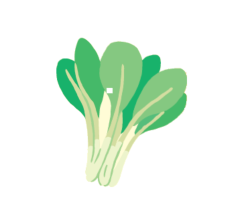 小松菜の豆知識