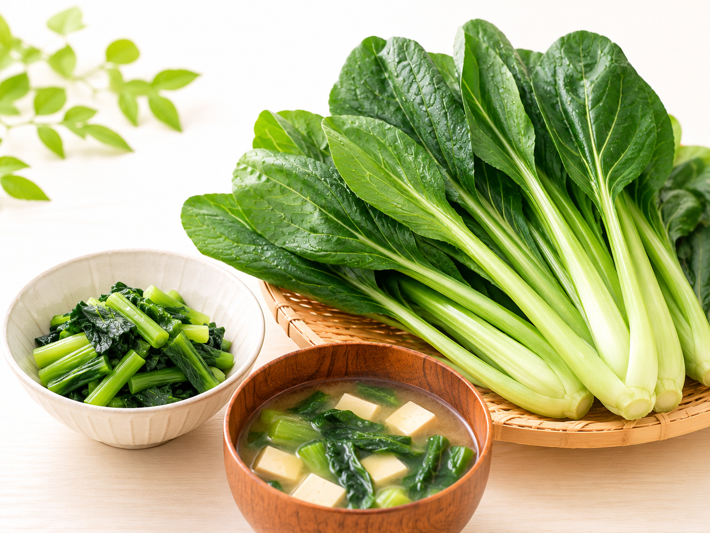小松菜の豆知識